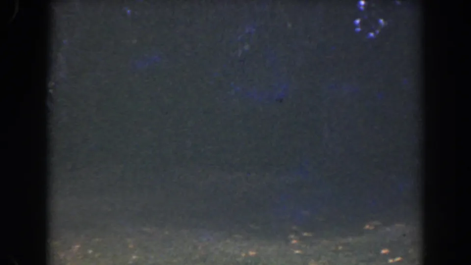 Dark 1941 Florida 8mm frame showing backyard ground, scattered light flecks, and pronounced home-movie grain.