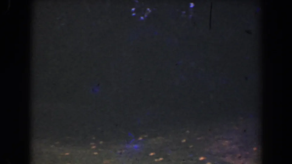 Low-exposure 1941 Florida home-movie frame showing dark backyard ground, faint leaves, and visible film speckles.