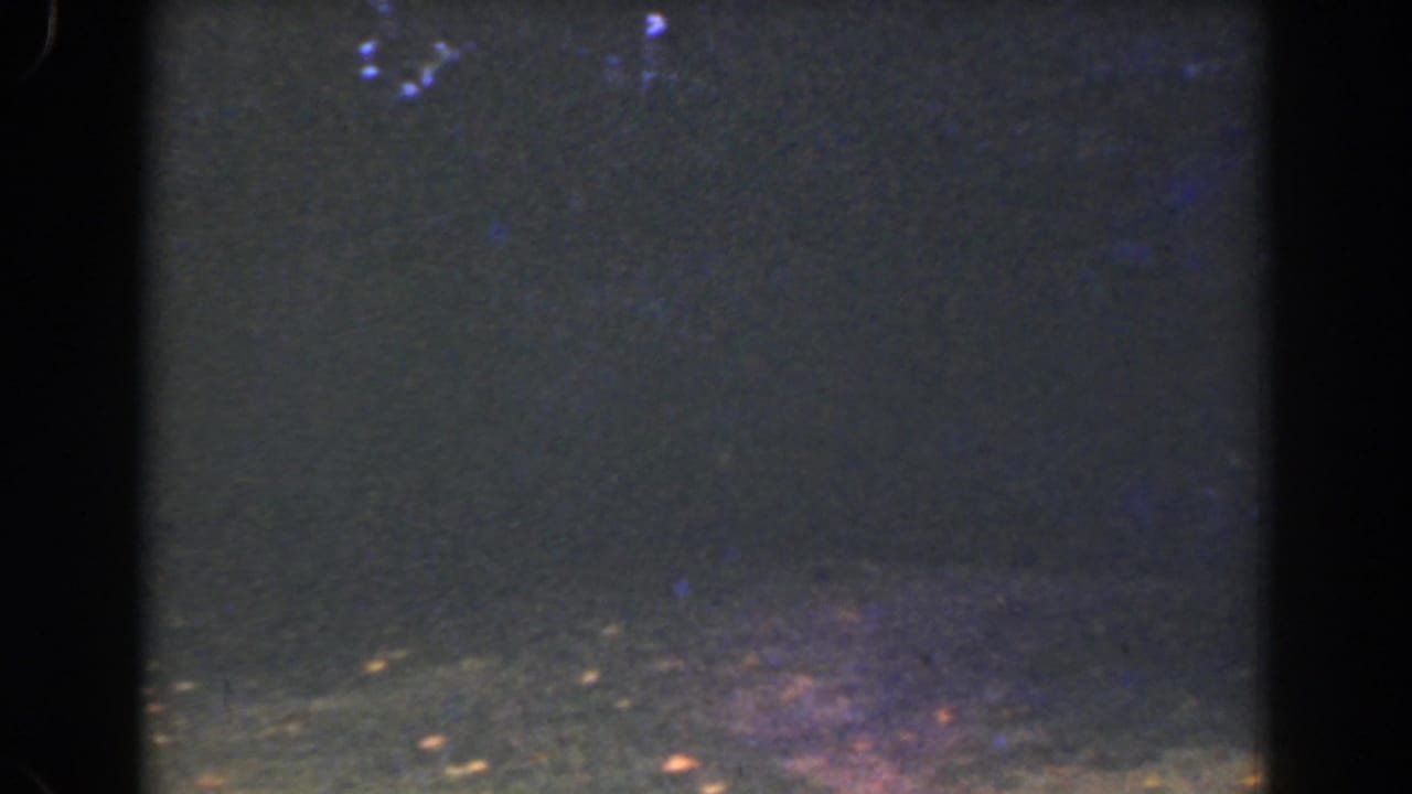 Dark wooded lawn with a faint distant figure near the upper right.