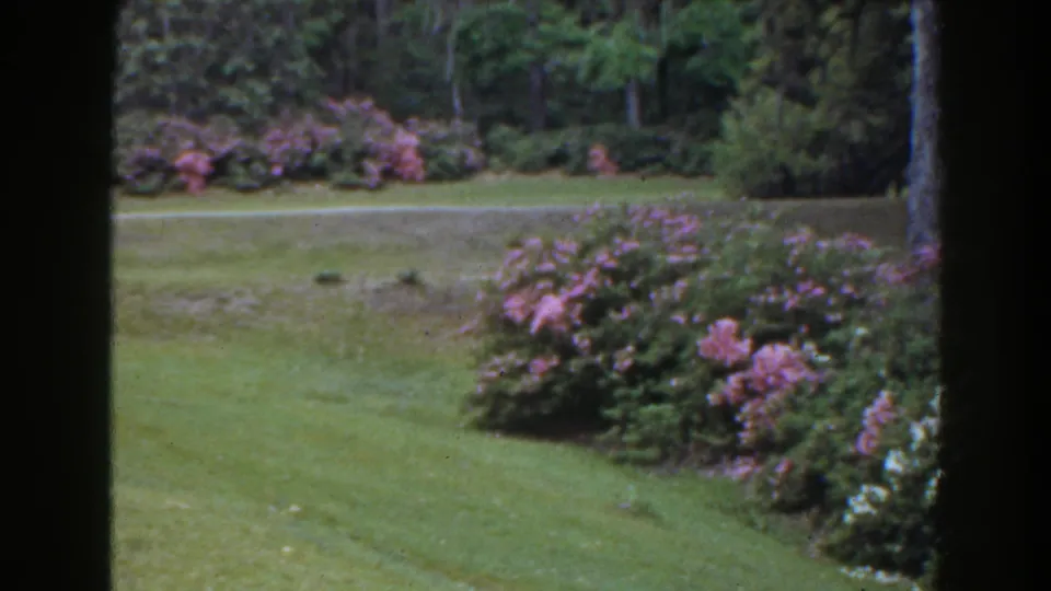 A 1941 Florida garden scene shows a sloping lawn, purple flowering shrubs, white blossoms, and shaded trees through dark frame edges.