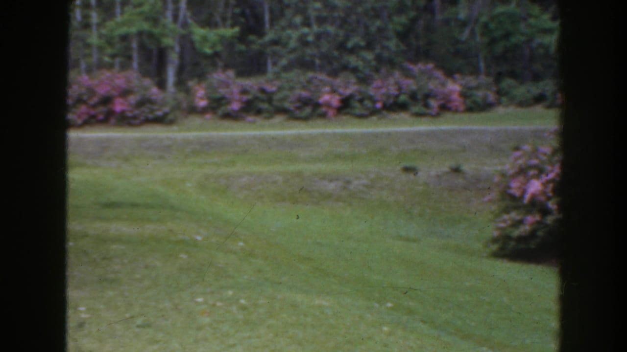 1941 Florida 8mm view through dark framing onto a landscaped lawn bordered by pink flowering shrubs and trees.
