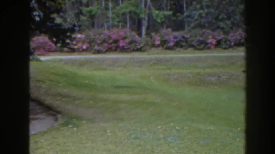 The 1941 Florida park view shows open grass, flowering shrub beds, trees, and dark vertical framing in the foreground.