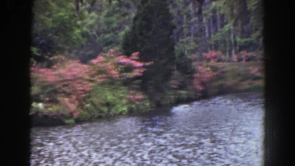 1941 Florida 8mm frame showing rippled water, a wooded bank, pink flowering plants, and dark projection borders.