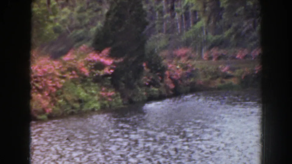 1941 Florida 8mm frame showing rippled water, wooded banks, and pink flowering shrubs through dark film borders.