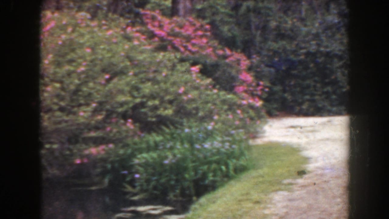 Curving dirt path bordered by lawn, flowers, and dense garden foliage.