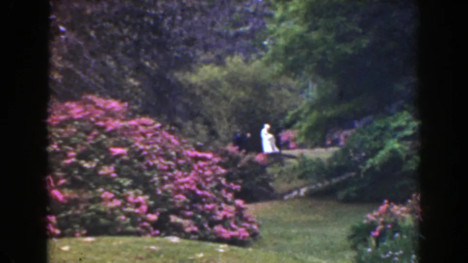 1941 Florida 8mm frame showing pink shrubs, lawn, dense foliage, and a distant person in white near the garden path.
