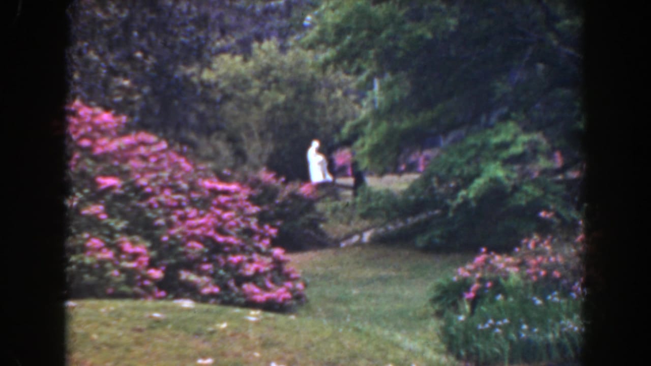 1941 Florida 8mm frame of a woman in a white dress moving along a garden path near pink shrubs and dense greenery.