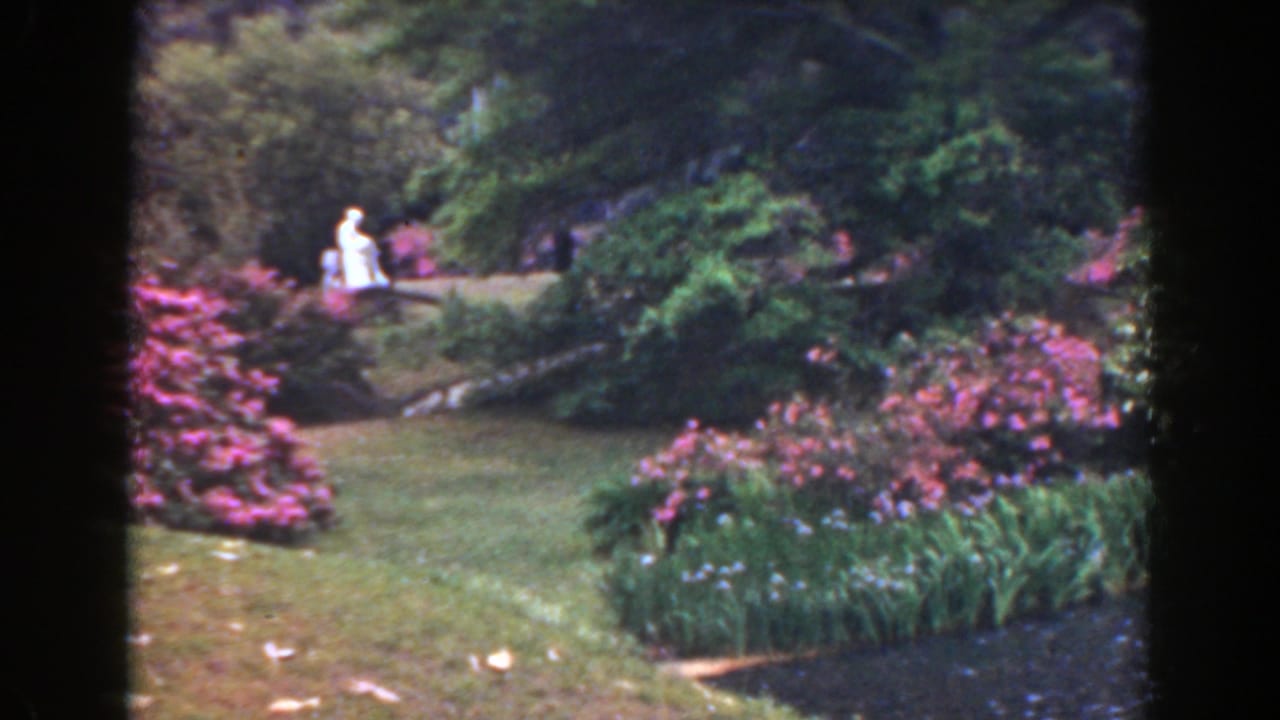 Woman in white standing or walking on a raised garden path above lawn and flowers.