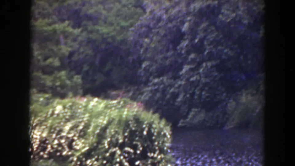 1941 Florida 8mm view of rippling water with flowering shrubs and a shaded wooded backdrop.