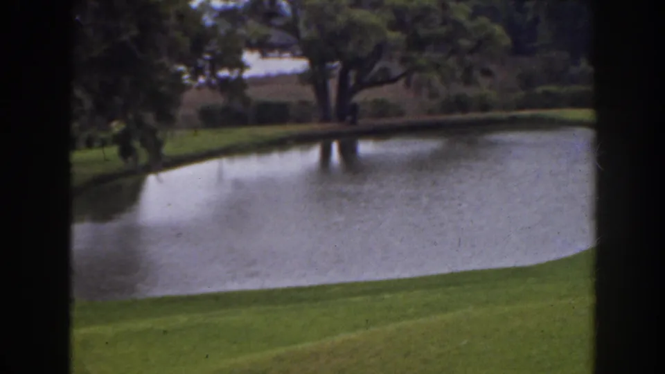 1941 Florida 8mm view across a golf-course pond toward a large tree and far bank, with dark window or screen framing.