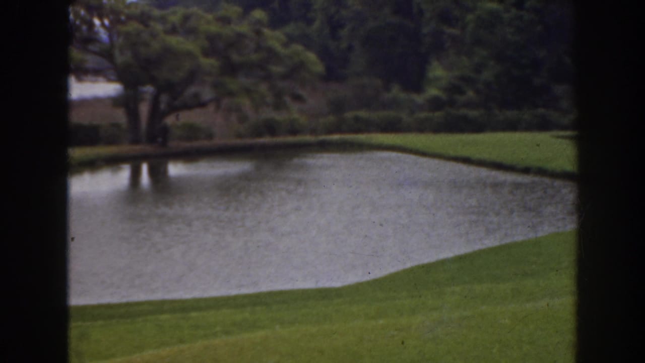 Pond bordered by green lawn and trees, with dark vertical film edges.