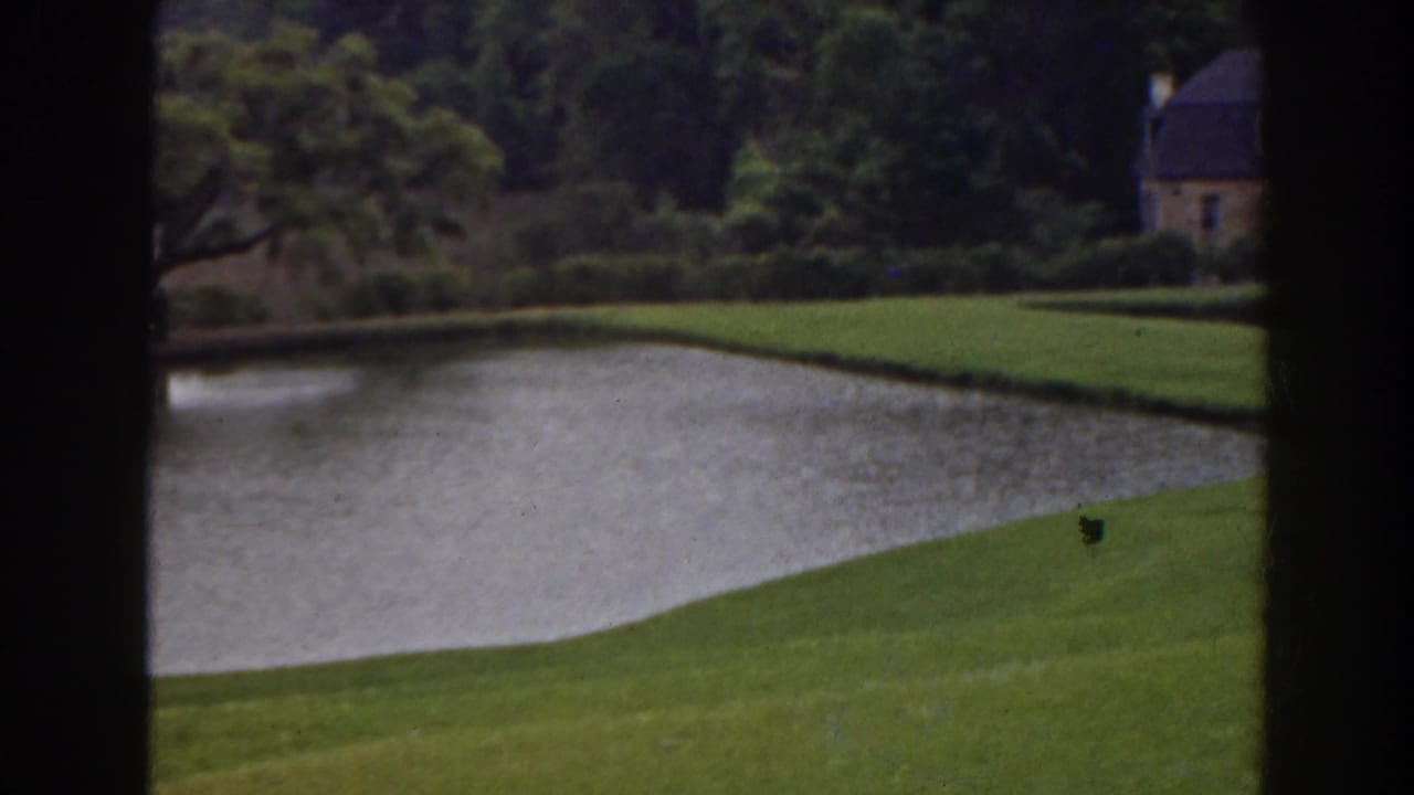 Curving pond, lawn, trees, and a small house partly visible at right.