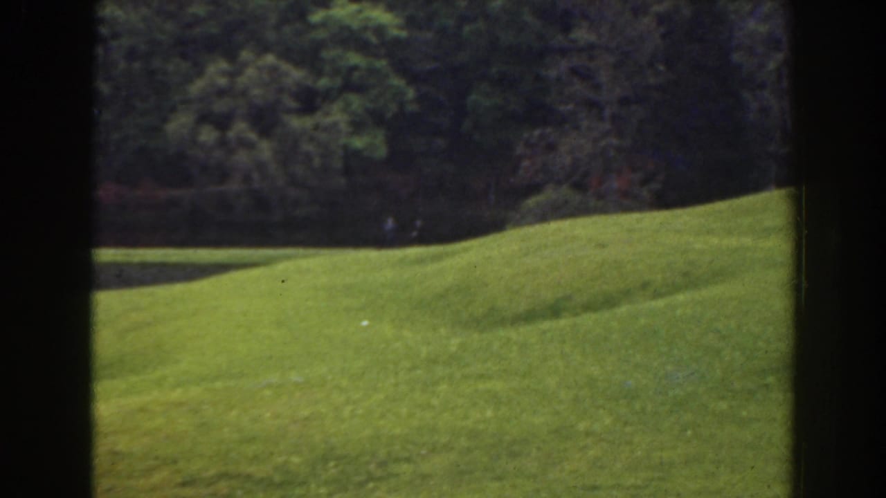 1941 Florida 8mm frame showing a sunlit green lawn sloping toward a dense tree line.