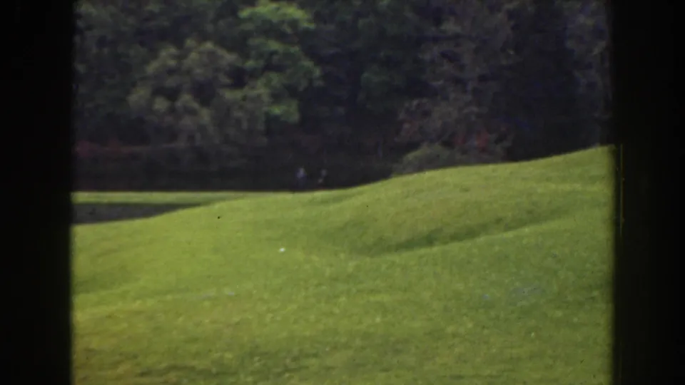 1941 Florida 8mm frame showing a sunlit green lawn sloping toward a dense tree line.
