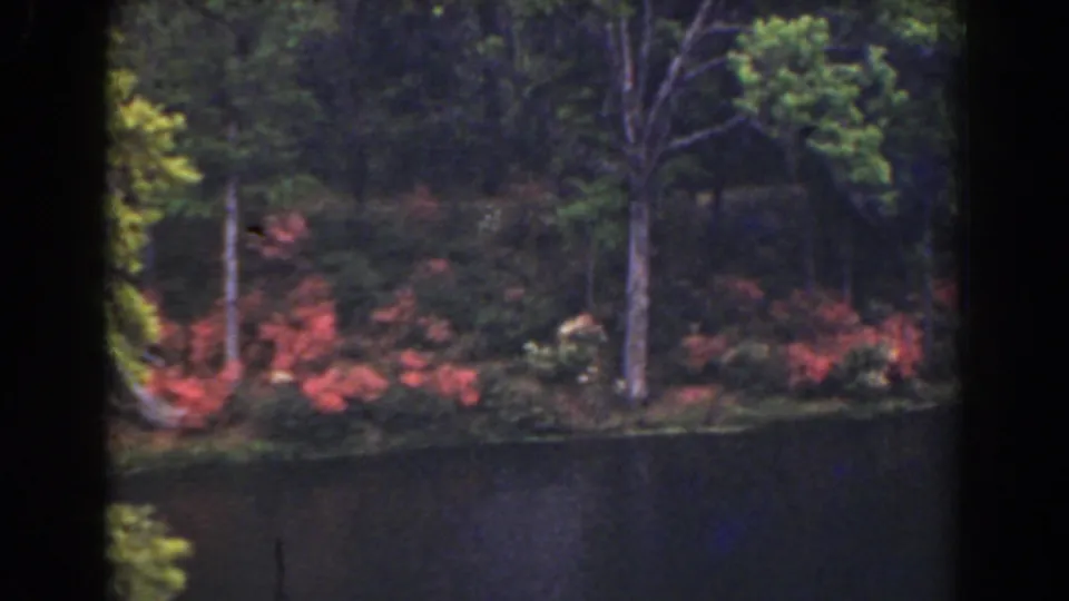 1941 Florida 8mm frame showing a dark pond bordered by trees and red blooming shrubs.