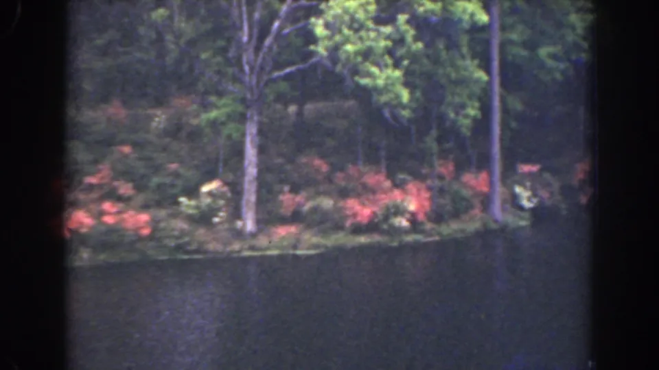 1941 Florida 8mm frame showing calm pond water below trees and red flowers on the far shore.