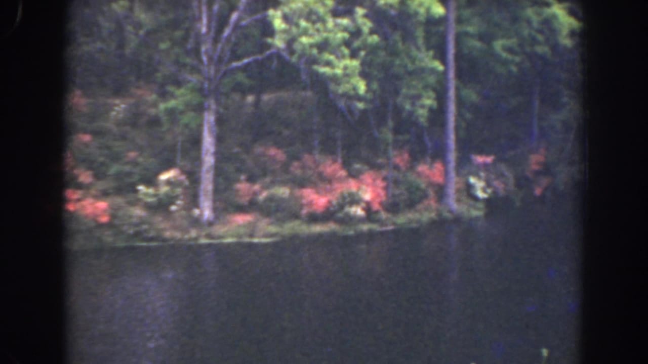 1941 Florida 8mm frame showing a wooded lakeshore, red flowering shrubs, and calm dark water viewed from across the lake.