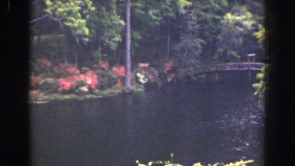 1941 Florida 8mm frame with a small wooden bridge visible at right beyond lakeside trees, red shrubs, and dark water.