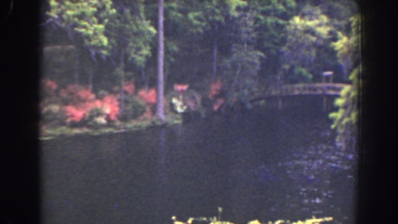 Riverbank with flowering shrubs, trees, and a small arched bridge across dark water.