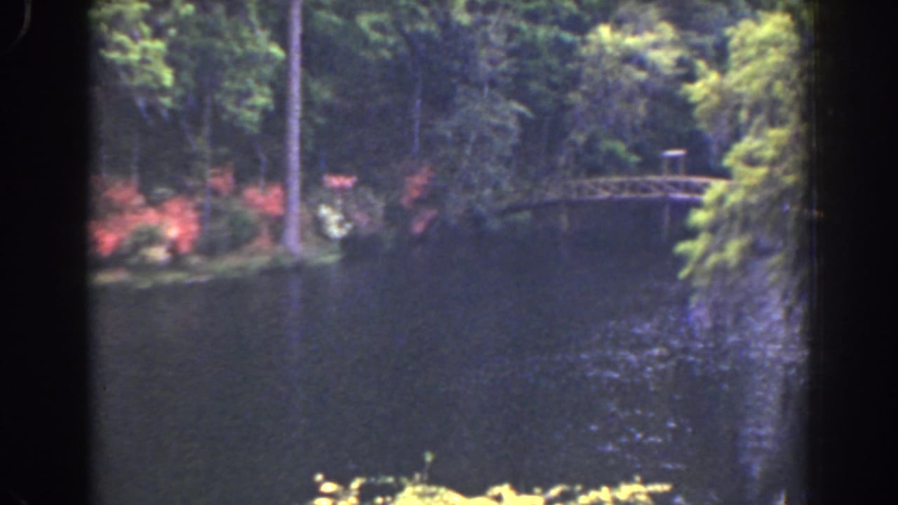 1941 Florida home-movie view of a wooded riverbank, colorful shrubs, and a small bridge seen across calm dark water.