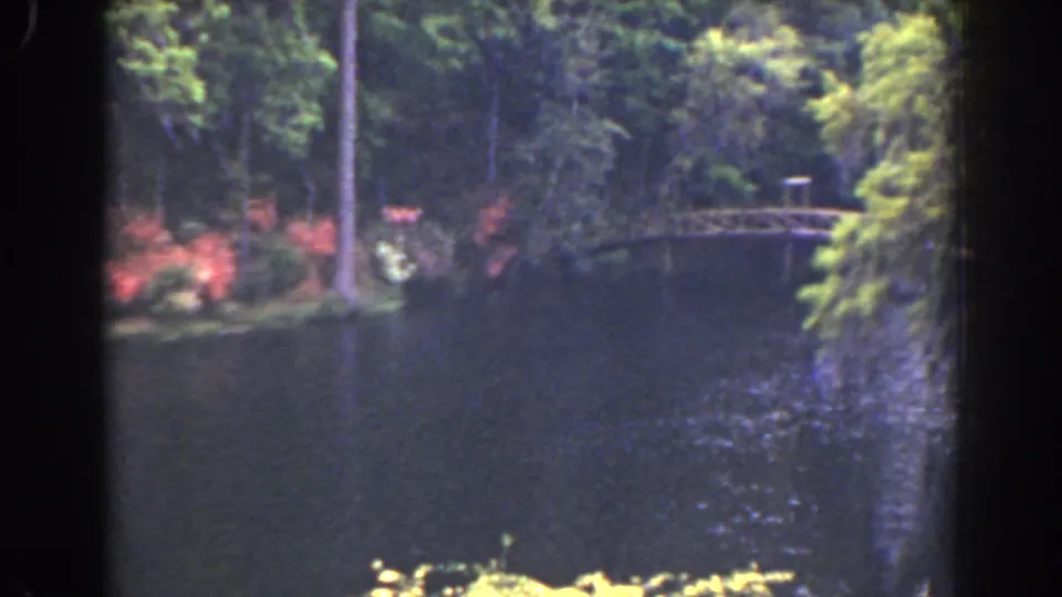 1941 Florida home-movie view of a wooded riverbank, colorful shrubs, and a small bridge seen across calm dark water.