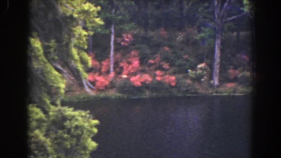 1941 Florida 8mm frame centered on dark river water, shoreline trees, and vivid red flowering shrubs, with no people visible.