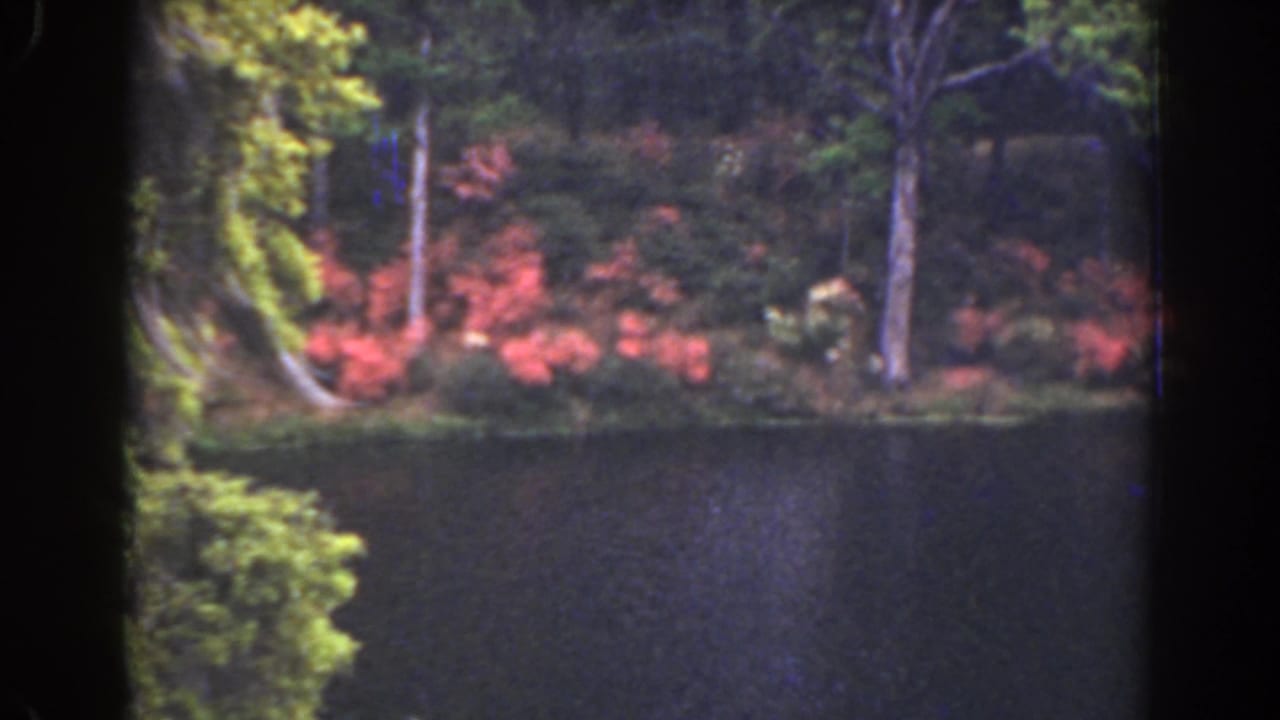 1941 Florida home-movie frame showing a wooded pond edge, red shrubs, green trees, and still water in soft 8mm color.