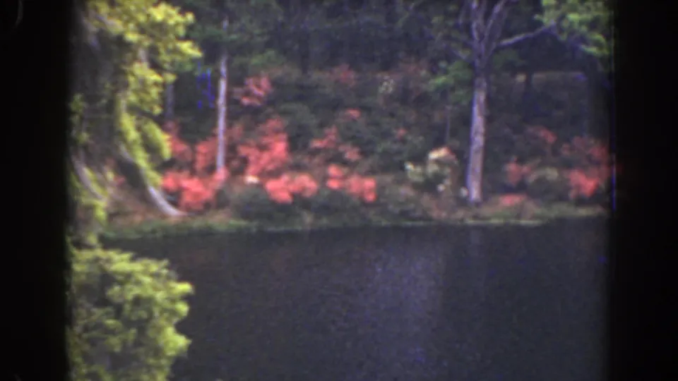 1941 Florida home-movie frame showing a wooded pond edge, red shrubs, green trees, and still water in soft 8mm color.