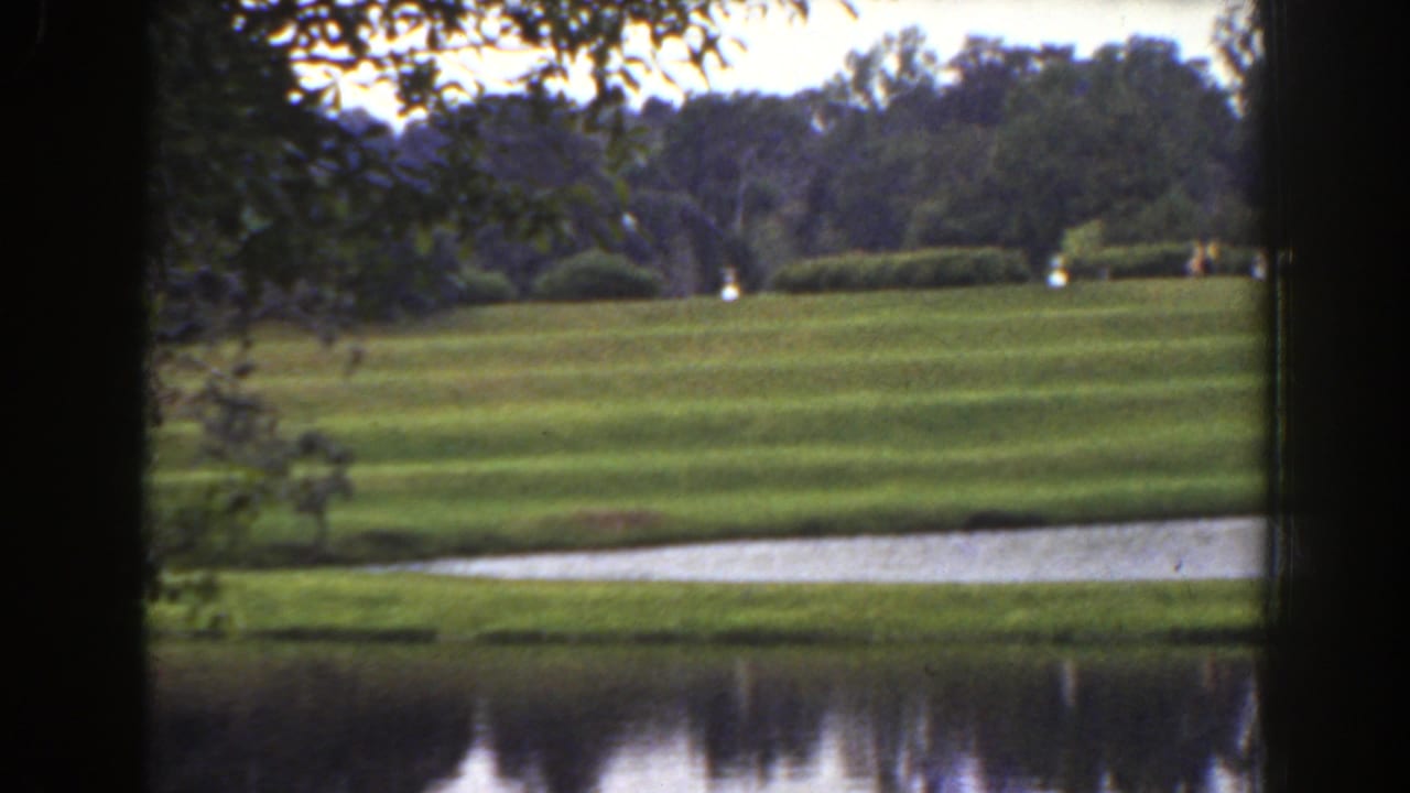 Open park lawn with pond in foreground and trees in the distance.