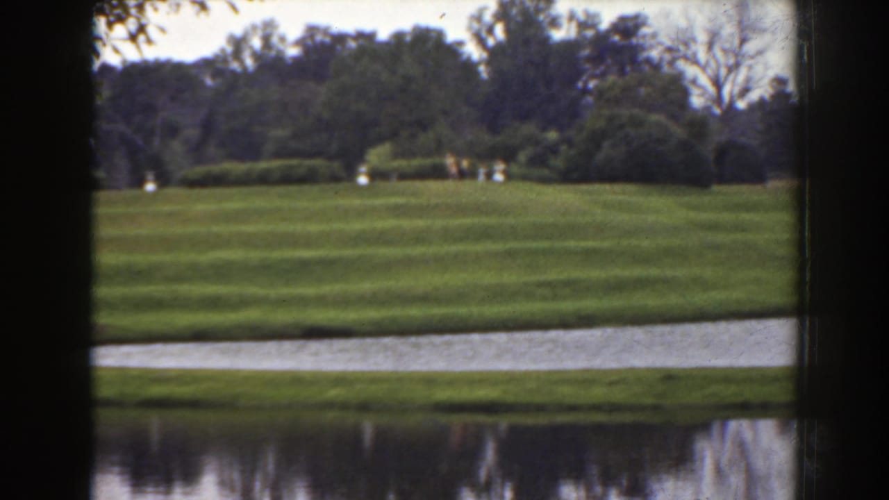 Manicured green lawn beside water with trees and small distant figures.