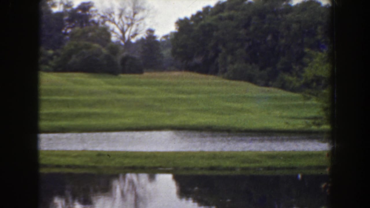 1941 Florida 8mm frame showing a green field, lake edge, and distant trees in soft home-movie color.
