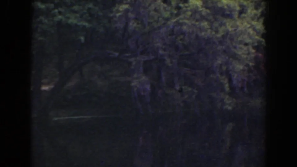 A shaded Florida lakeside view from the 1941 8mm clip, with dense trees and dark reflective water.