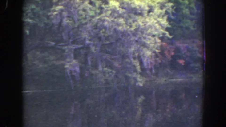 1941 Florida home-movie frame of overhanging branches, dense foliage, and reflective lake water.