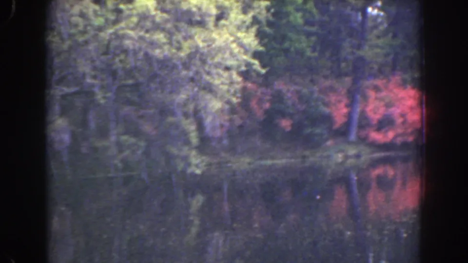 A 1941 Florida 8mm view of lakeside trees, reddish foliage, and soft reflections on dark water.