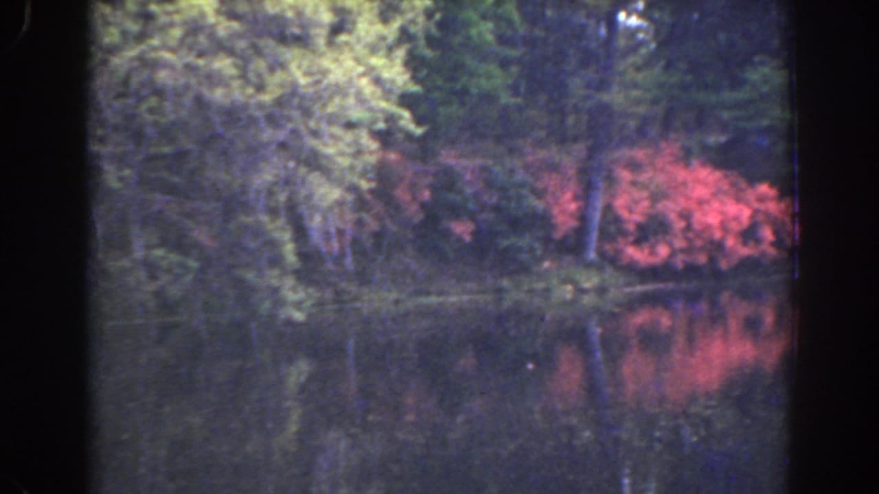 Red flowering shrubs and trees reflected in a still pond.