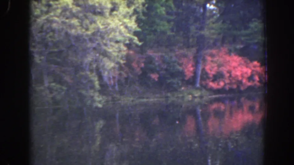 1941 Florida 8mm frame of red blossoms along a wooded pond edge, with the foliage mirrored in calm water.