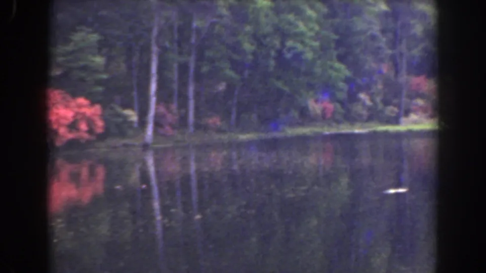 A Florida pond scene on 8mm film, with red blossoms at the left bank and wooded reflections across the water.