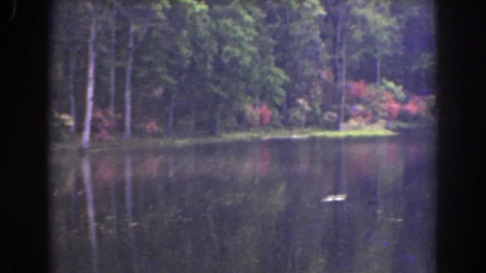 1941 Florida home-movie frame with a calm pond, tall trees, red flowering shrubs, and a small bright object near the water surface.