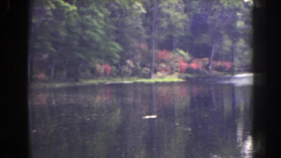 Final 8mm frame of the Florida pond view, showing dense trees, red flowers on the bank, soft reflections, and bright highlights on the water.