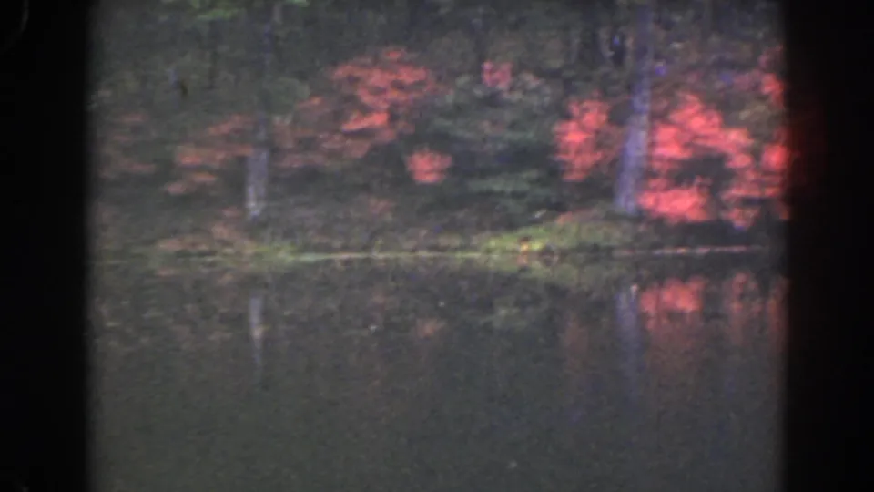 1941 Florida home-movie frame showing pink flowering bushes, trees, shoreline grass, and their reflections across a quiet lake.