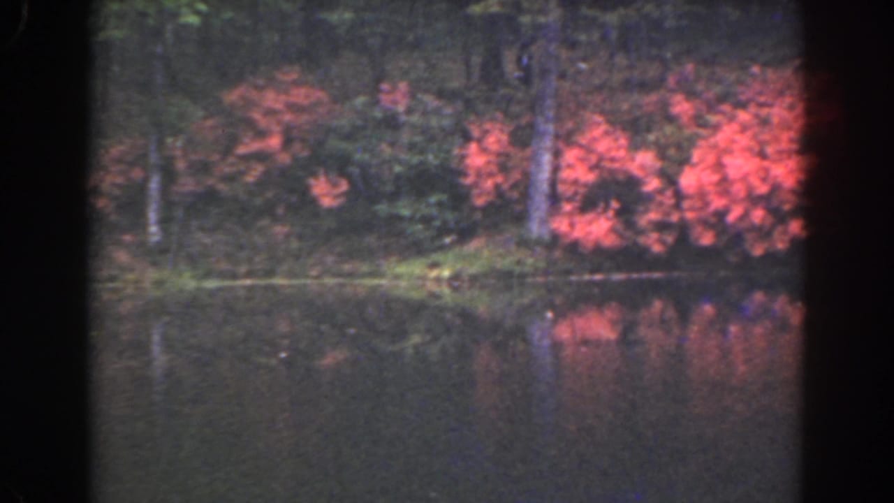 Red foliage along a wooded lakeshore reflected in calm water.