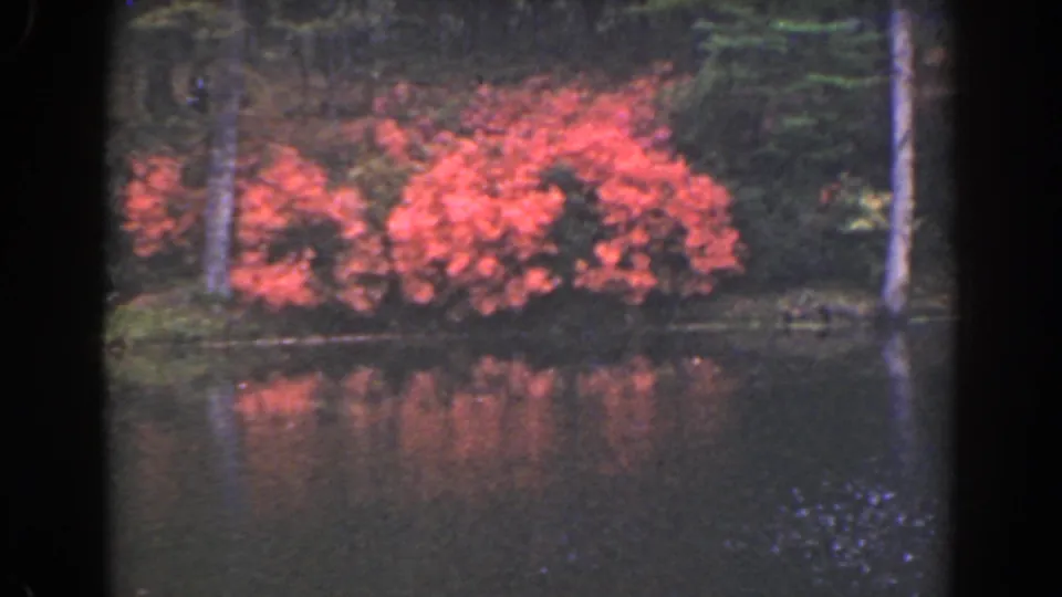 Soft 8mm frame from 1941 Florida showing red lakeside vegetation, trees, and muted reflections in dark water.