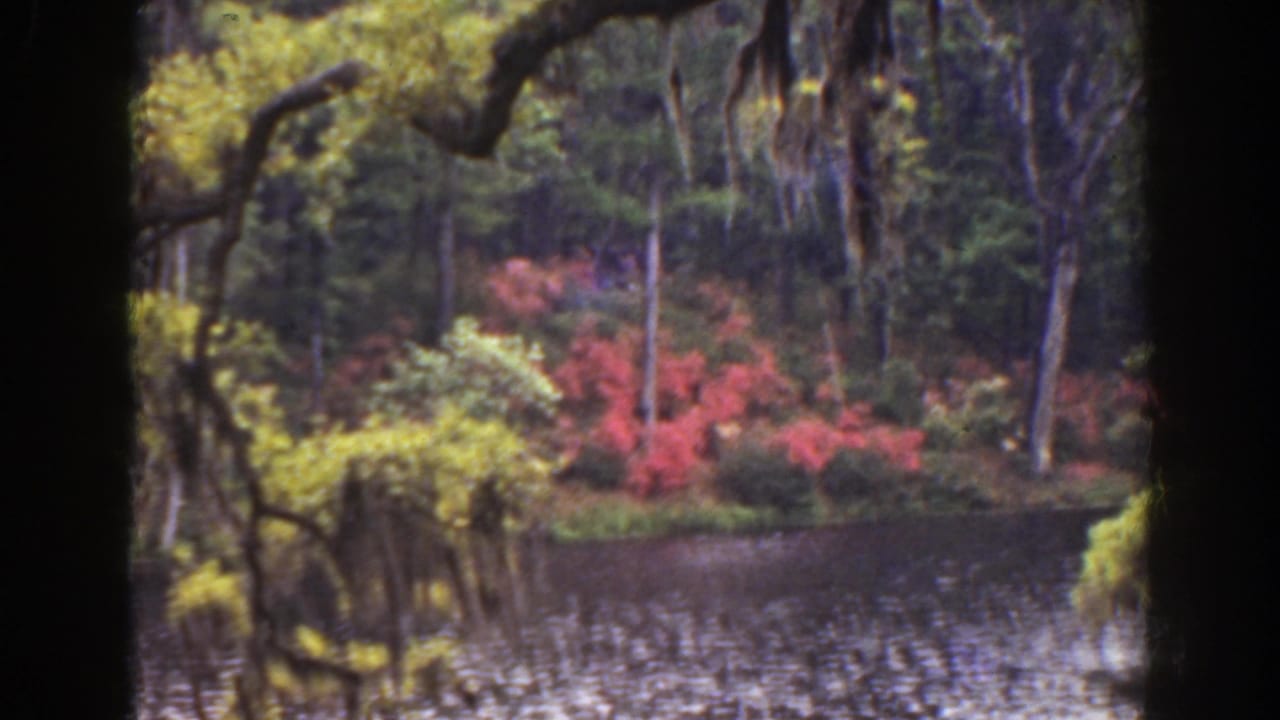 Rippling water and dense trees with red and yellow shrubs along the opposite bank.