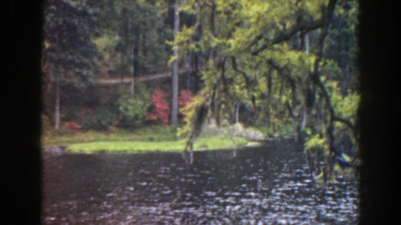 1941 Florida home-movie frame of a calm Cypress Garden lakeside view with moss-draped trees, grass, and red foliage across the water.