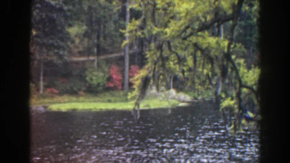 1941 Florida home-movie frame of a calm Cypress Garden lakeside view with moss-draped trees, grass, and red foliage across the water.
