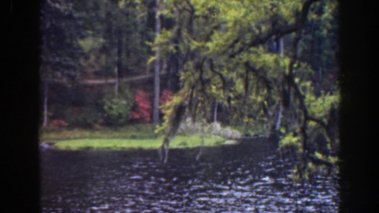 Lakeside trees and moss frame a grassy bank across rippled water.