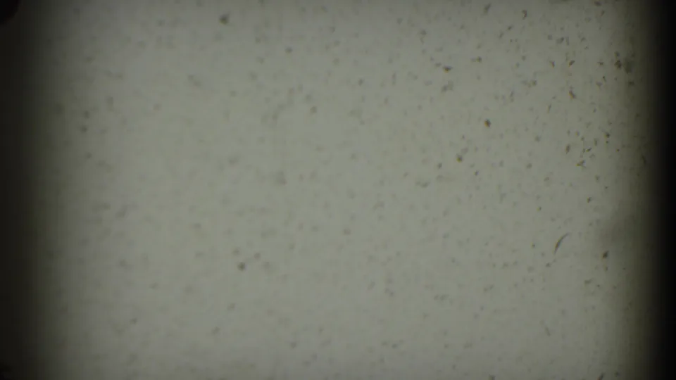 A pale 8mm frame with dust specks and dark gate edges, likely a brief blank or transitional moment within the scanned home movie.