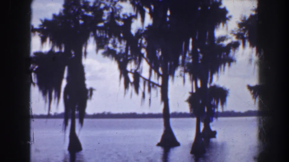 1941 Florida 8mm frame showing cypress trees and Spanish moss silhouetted over still swamp water.