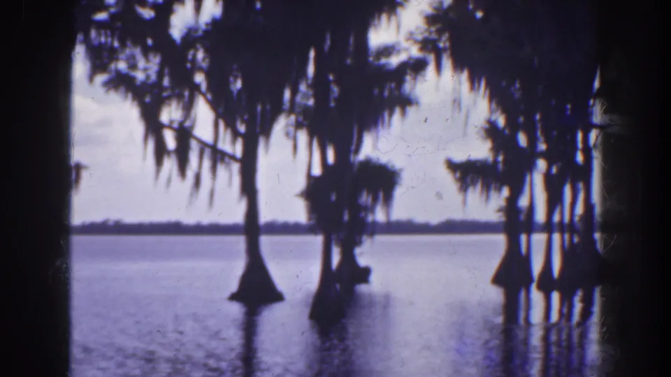 Florida wetland view on 8mm film, with silhouetted cypress trees, moss, and flat reflective water.