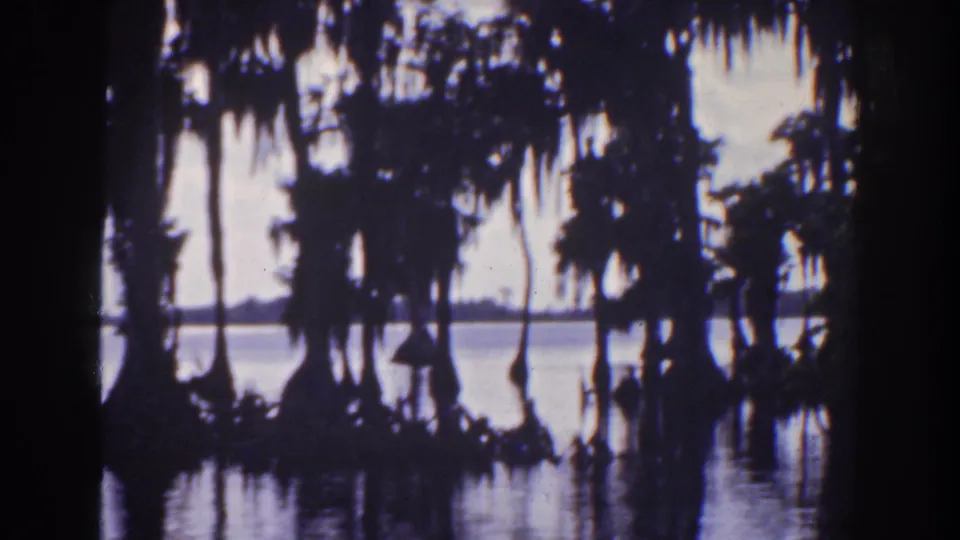 Late frame from the 1941 Florida 8mm clip showing dense cypress silhouettes, Spanish moss, and mirrored wetland water.